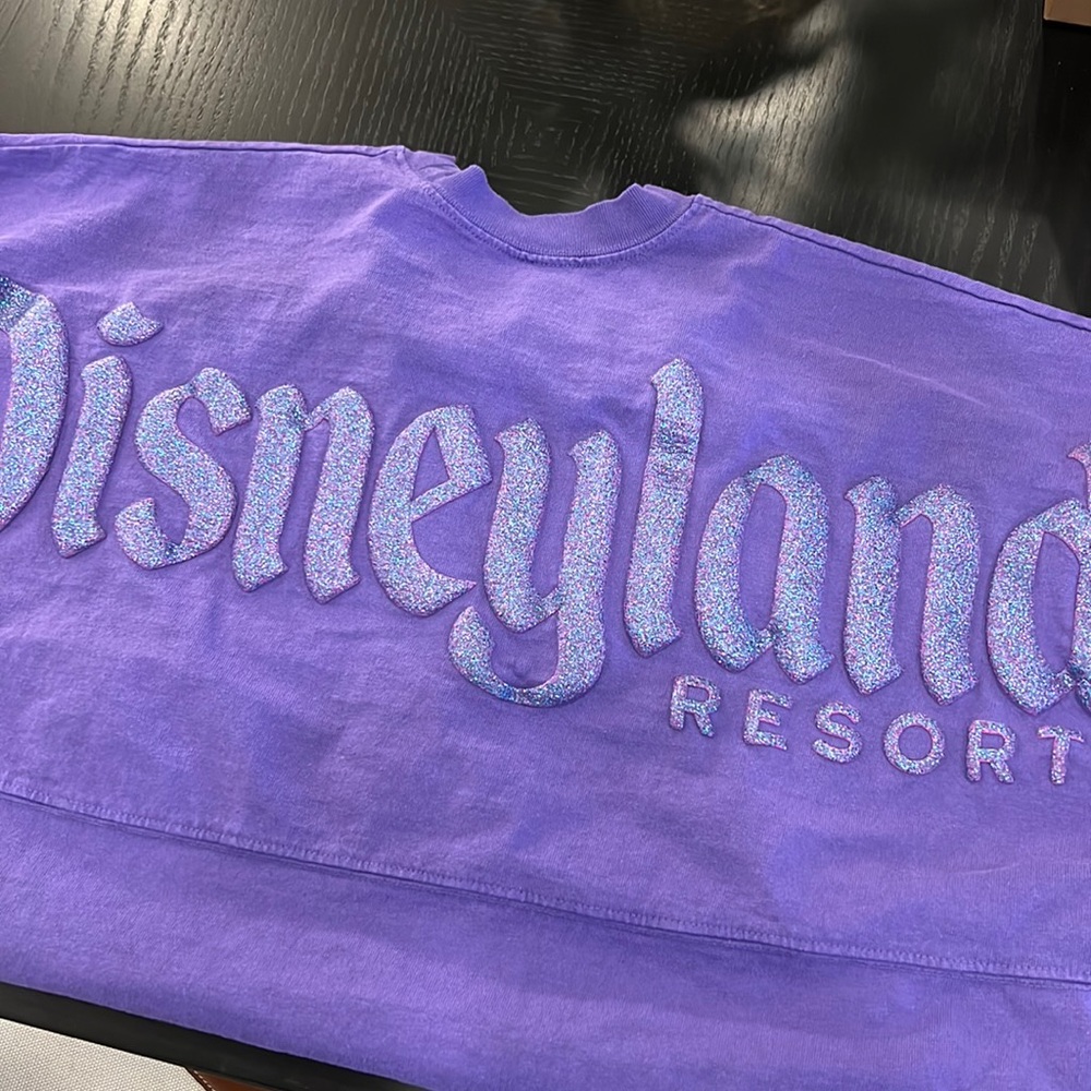 Disney Parks Official Spirit Jersey